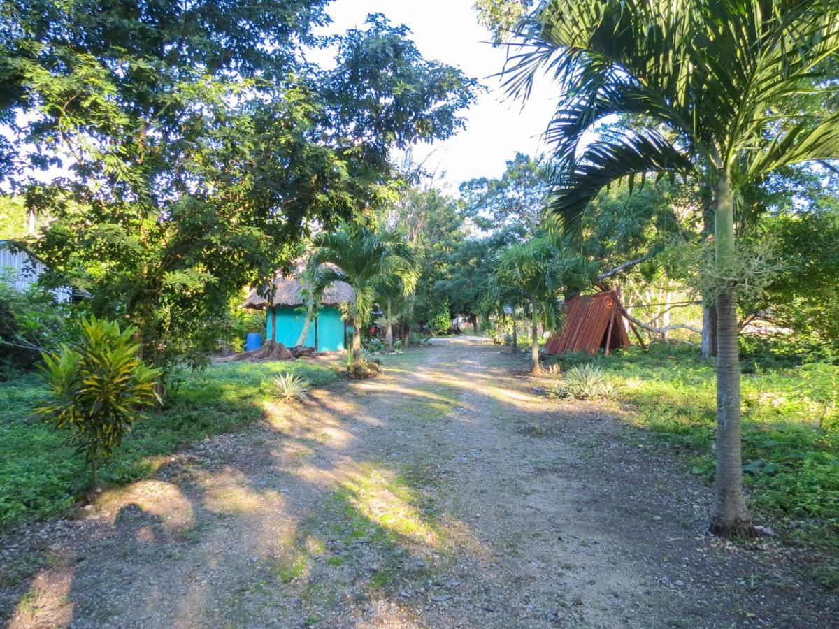 Cabanas Calakmul Conhuas Luaran gambar