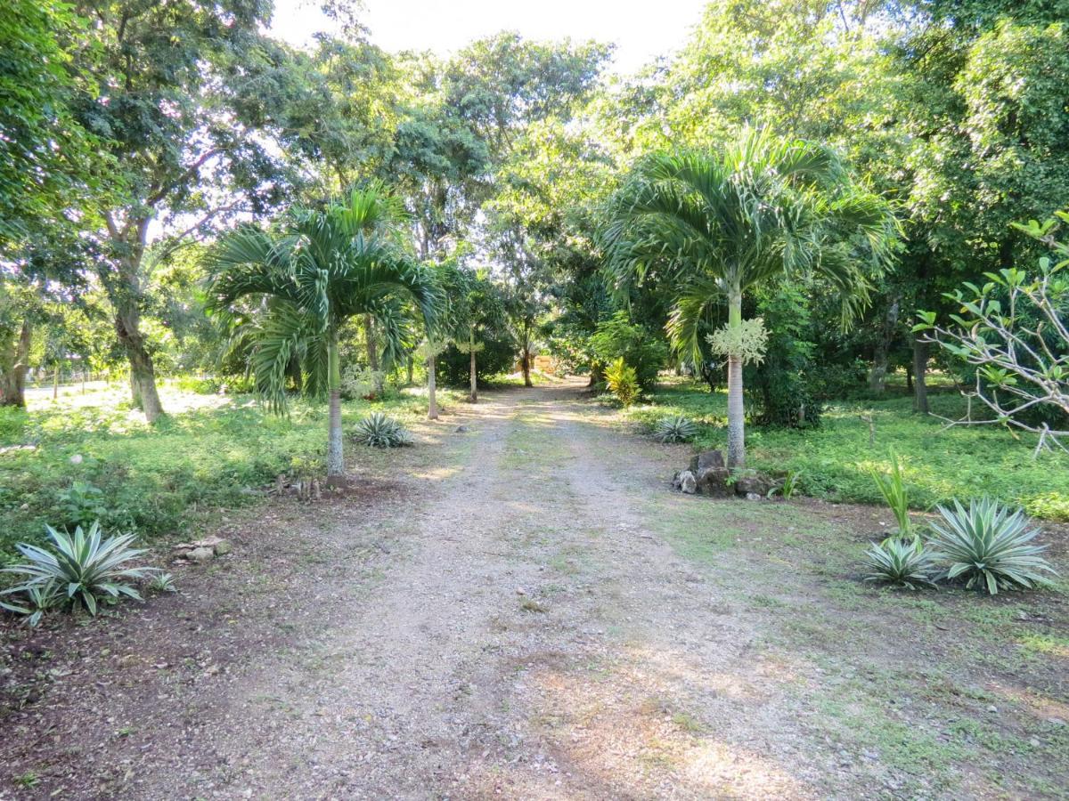 Cabanas Calakmul Villa Conhuas Luaran gambar