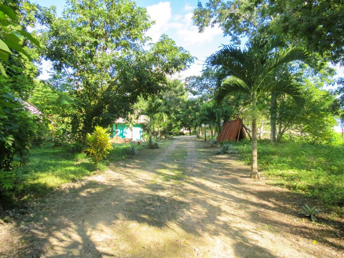 Cabanas Calakmul Conhuas Luaran gambar