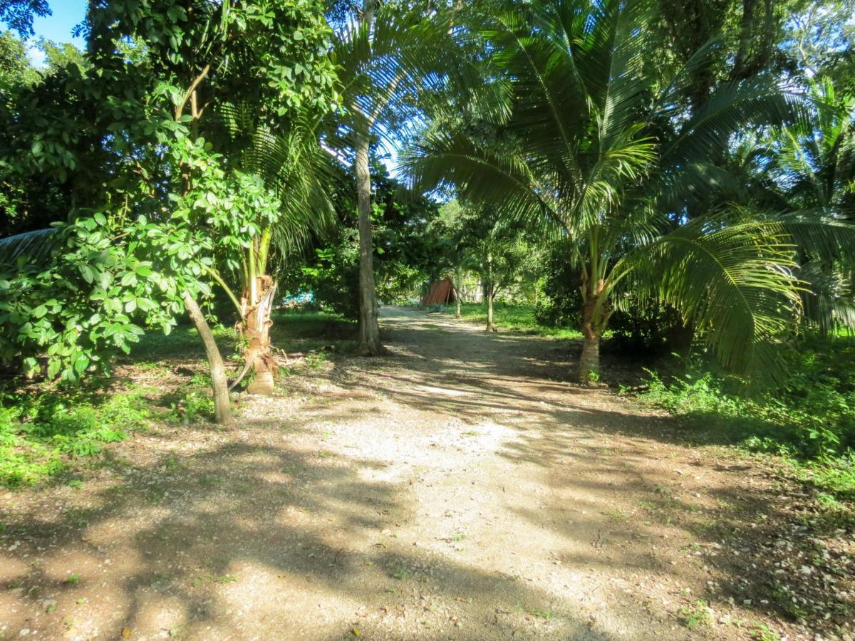Cabanas Calakmul Conhuas Luaran gambar